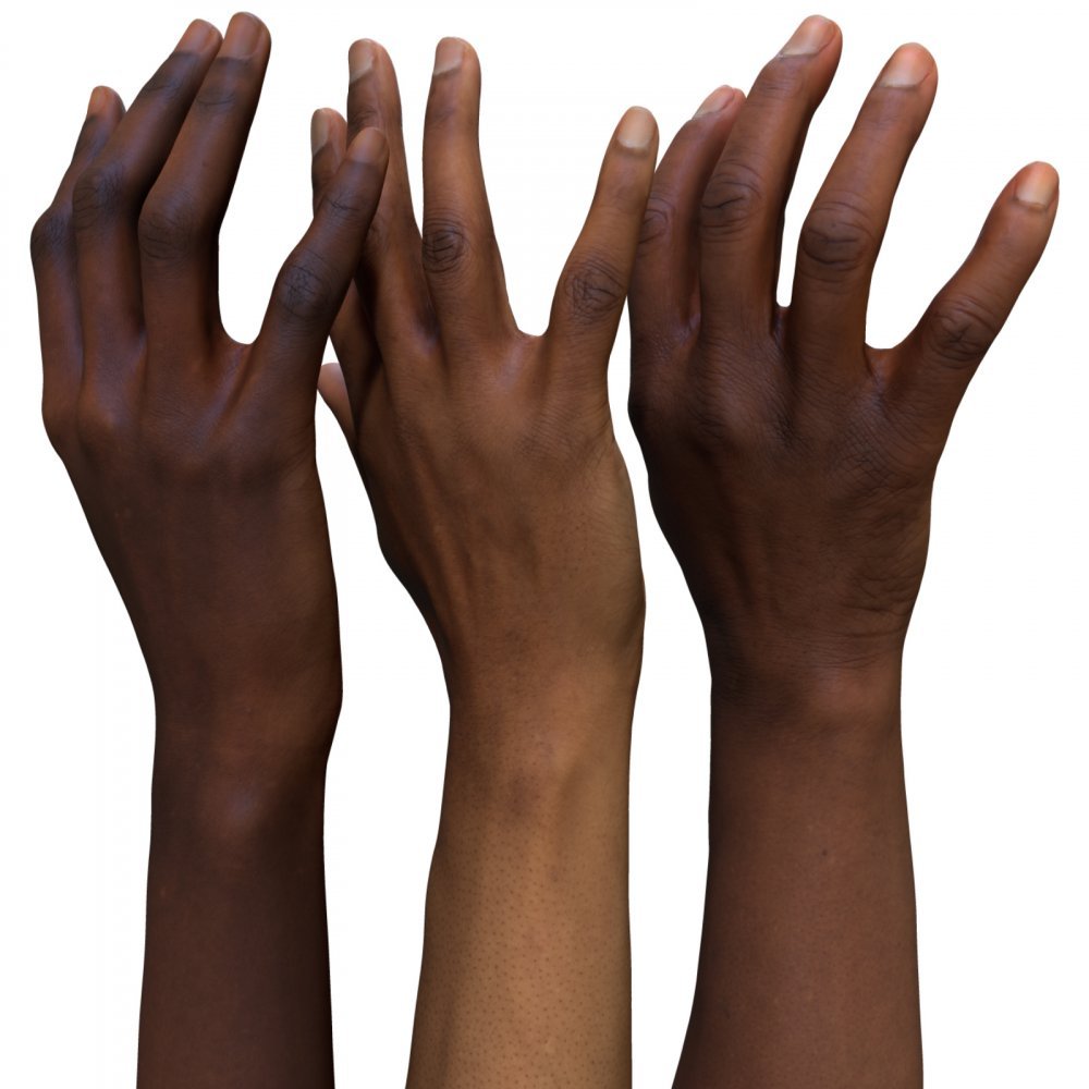 3 x Female 3D Hand Models / Black 20/40/60 years old